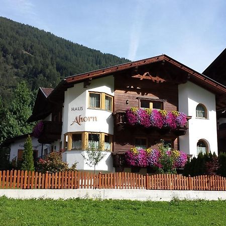 Ferienhaus Ahorn Neustift im Stubaital Luaran gambar